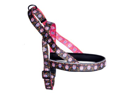 Norský postroj scary