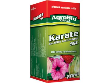 karate 20