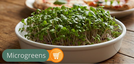 MICROGREENS