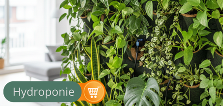 Hydroponie