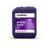 Plagron Power Buds (Objem 100 ml)