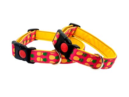 vyr 231 A4F3E3CC 19C1 4B37 B814 1865C8928734