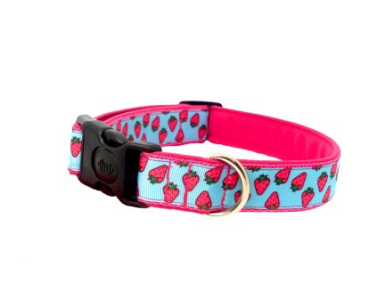 vyr 237 9AC808F4 94D5 491A ABAD 42D8F4C34F9B