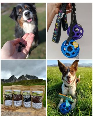 Do kterého týmu se svým 🐕 při odměňování patříš ty? Já mám obě varianty ☺️, jedna preferuje pamlsky, druhá hračku. My již...