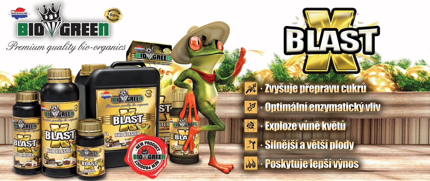 X Blast