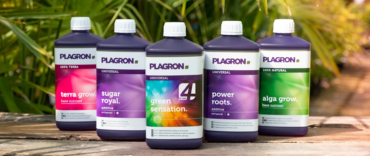 Plagron banner