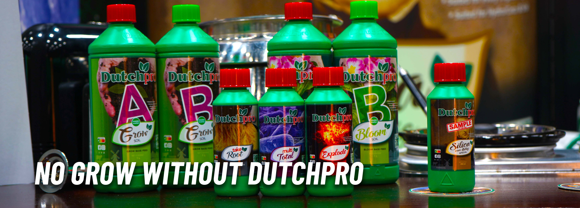 Dutchpro