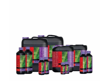 3123 atami b cuzz coco a b 5l