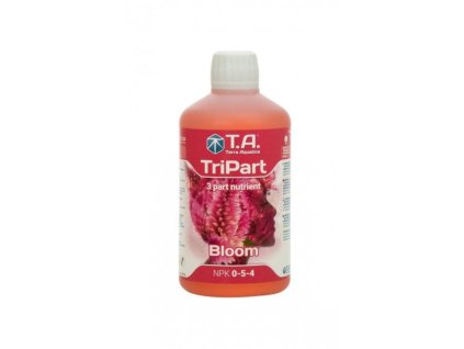 TCEN04002 1
