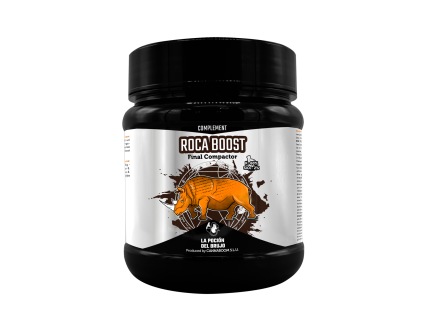 roca boost
