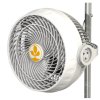 3837 ventilator s klipsnou monkey fan 30cm