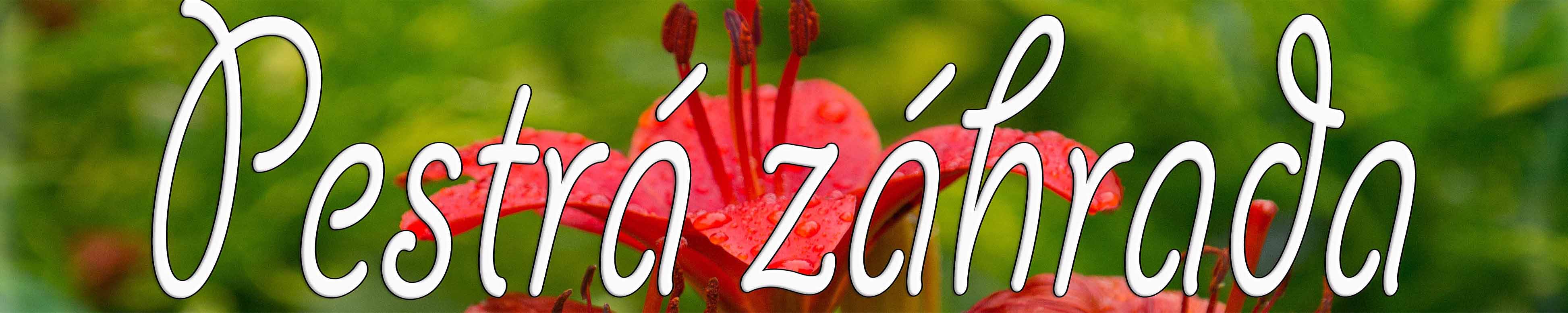 Pestrá záhrada