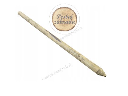 Oporný kôl guľatý s hrotom 4 x 200 cm