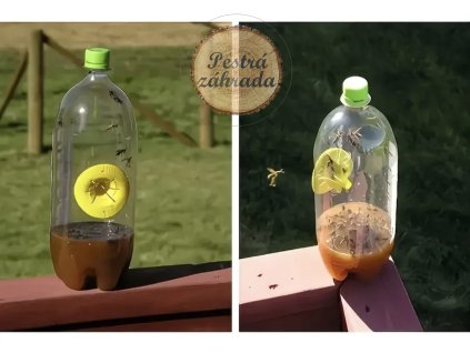 Pasca na sršne a osy 5ks