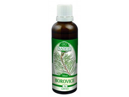 P4%20Borovice