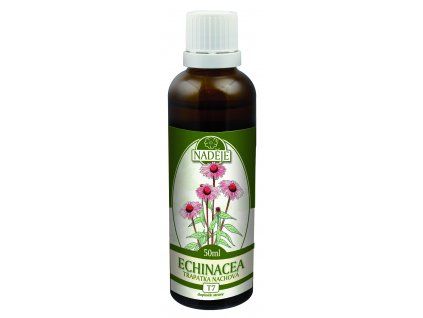 T7%20echinacea