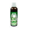 P67%20bazalka