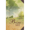 byliny leci
