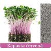 Červená_kapusta_pestujmezdravo.sk