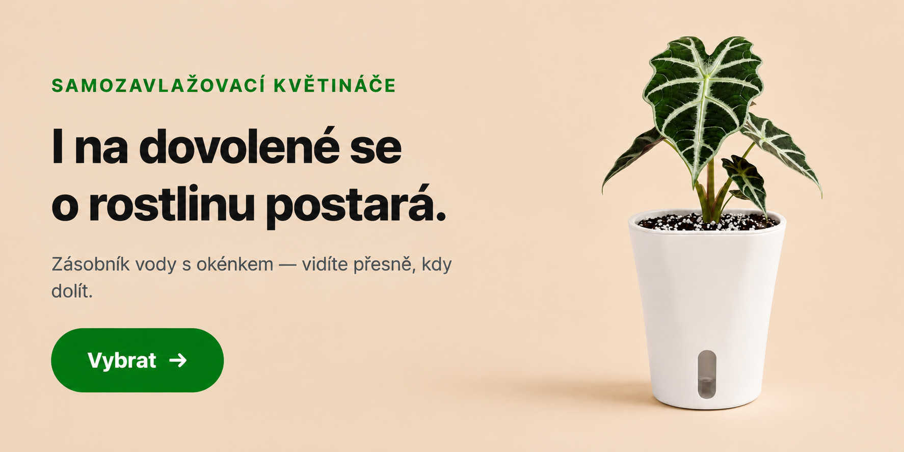 KVETINAC SAMOZ. BILY