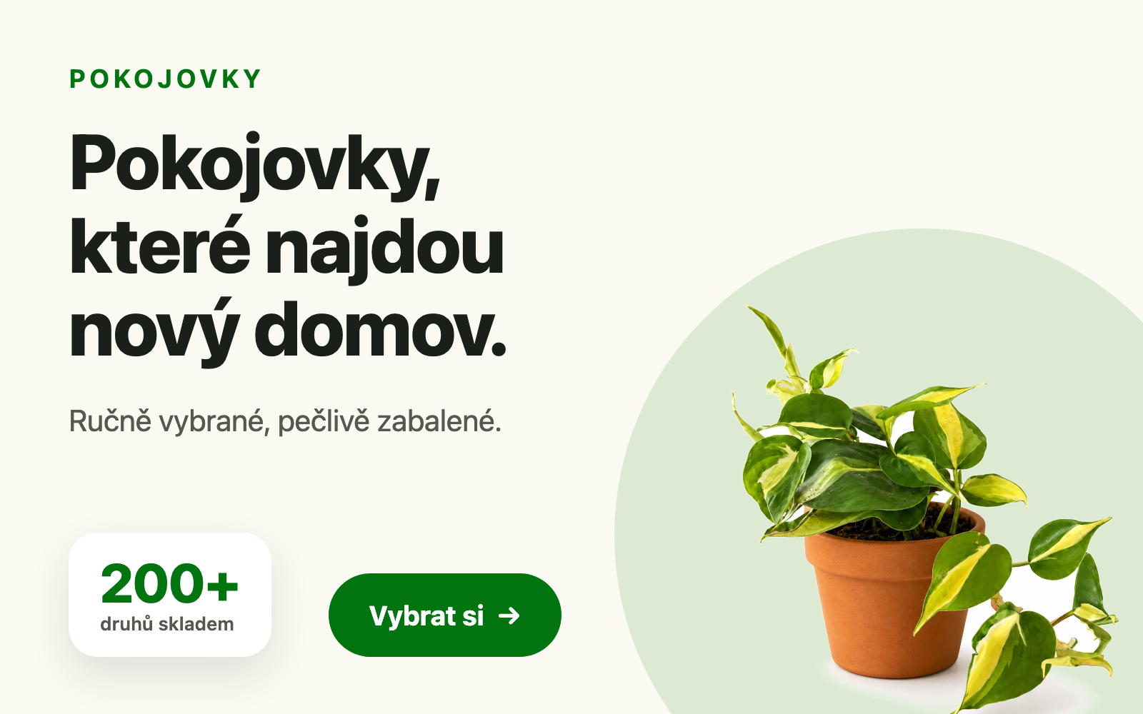 pokojovky - mobil