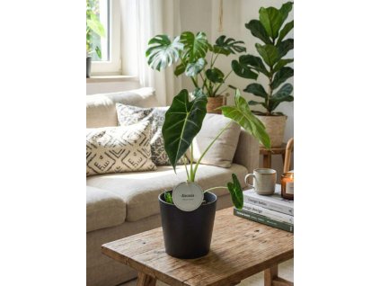 Gemini Generated Image y7vakhy7vakhy7va