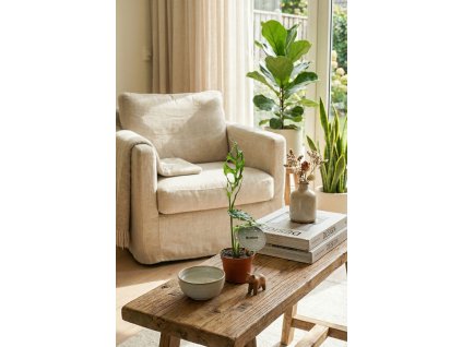 Gemini Generated Image zgm5gfzgm5gfzgm5