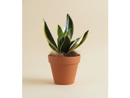 Návrh bez názvu 86