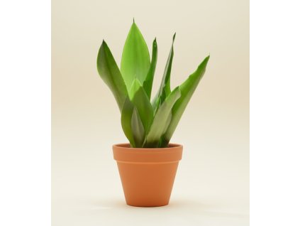 Návrh bez názvu 95