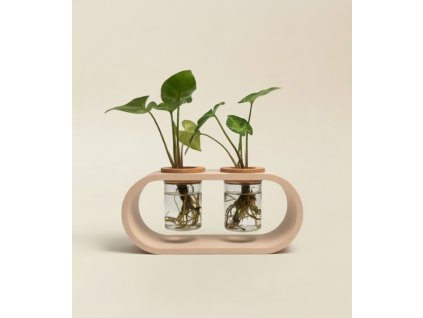 Sada na množení rostlin Ala dvojitá