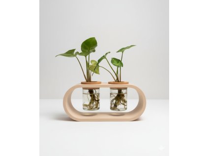 Sada na množení rostlin Ala dvojitá