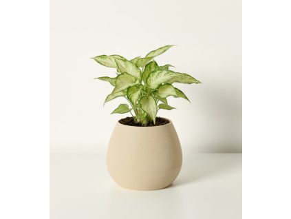 Samozavlažovací obal na květináč Gris, průměr 12 cm