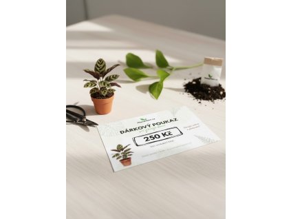 Dárkový poukaz 250 Kč