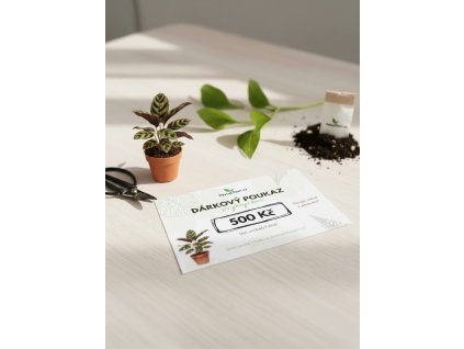 Návrh bez názvu 59