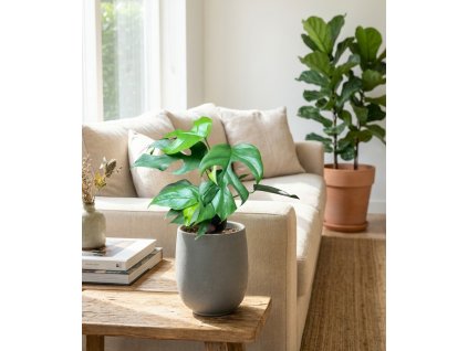 Gemini Generated Image xc8z89xc8z89xc8z