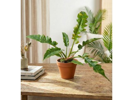 Gemini Generated Image 6liitw6liitw6lii