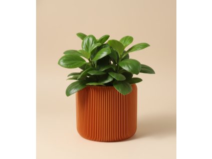 Obal na květináč Umbert měděný