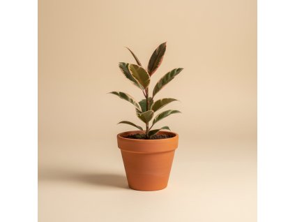 Gemini Generated Image lmzbmtlmzbmtlmzb