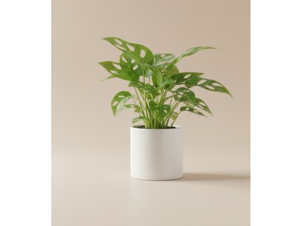 Keramický obal bílý