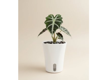 Návrh bez názvu 116