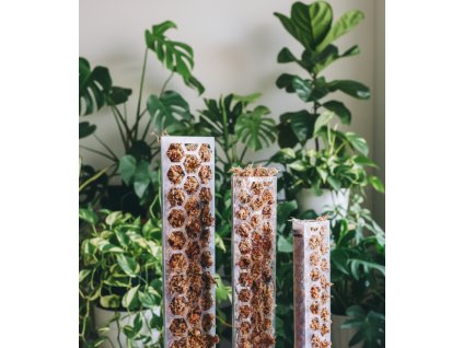 Opora pro pokojové rostliny – Moss Poles Classic