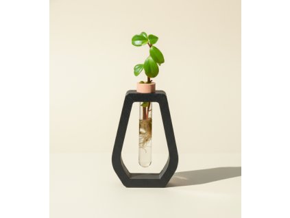 Váza na množení rostlin Vesea