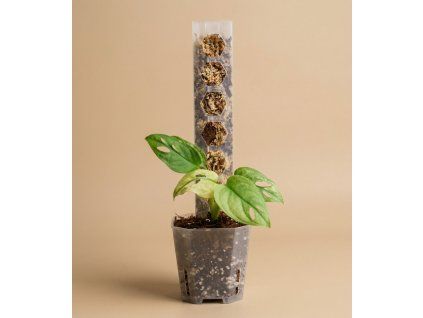 Opora pro řízky rostlin