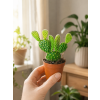 Opuntia mix, Ø 6 cm