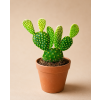 Opuntia mix, Ø 6 cm