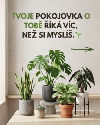 Tohle musíš poslat někomu, koho to přesně vystihuje 😂🌱 Každý má doma nějakou kytku… ale spíš než o ní to něco říká o tobě...