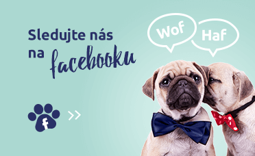 Sledujte nás na Facebooku