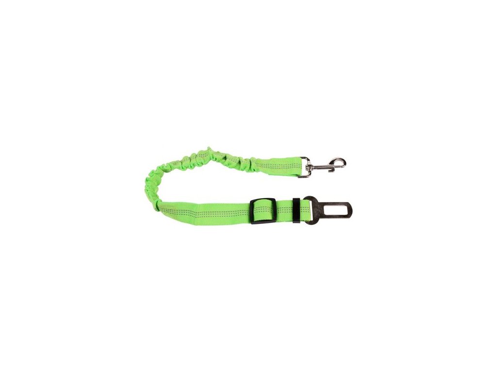 Safer 1.0 car belt for dogs color green
