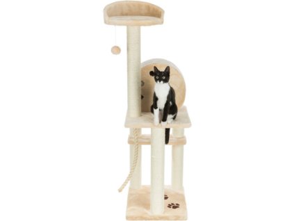 Máy cào SALAMANCA 138cm màu be
