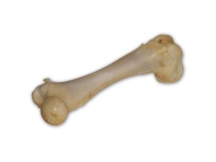 Bravčová kosť biela - extrudovaná 1 ks/17 cm